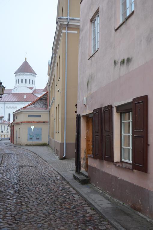 Апартаменти Sofijos Studio Old Town Вільнюс Екстер'єр фото